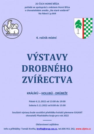 Plakát výstava Horní Bříza 2022 A