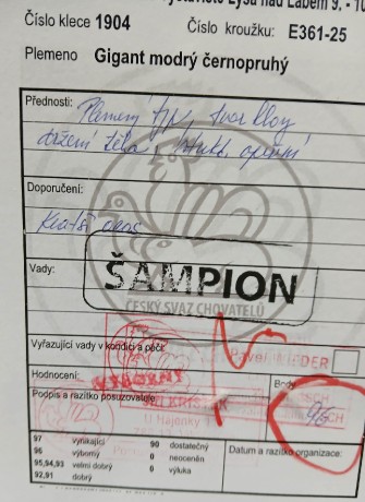 Oceňovací lístek 2