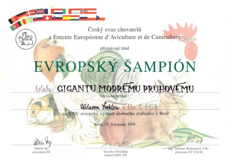 Václav Švehla Diplom Evropský Šampión