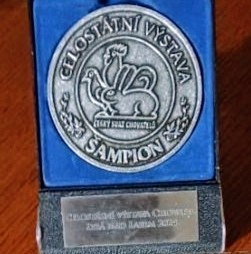 image-3.jpg