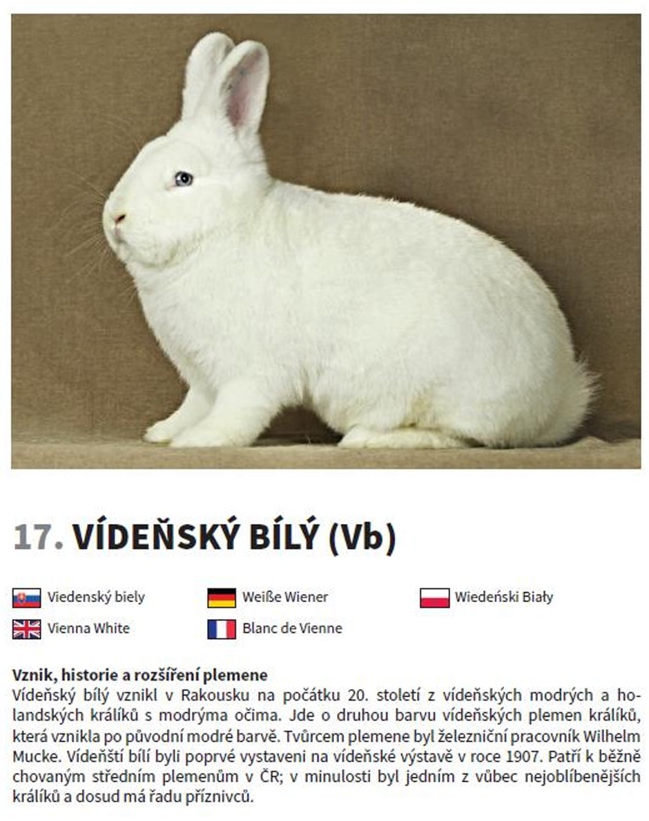 vb_vzornik-plemen.jpg